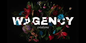 wagency-creations